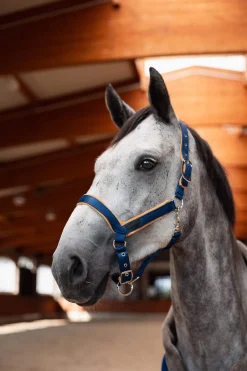 Fashion Delémont Shaped Halter Headcollars & Halters