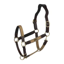 Outlet Easton Anatomic Halter Headcollars & Halters