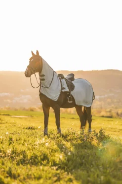 Online Eira Fly Riding Rug with Detachable Neck Fly Rugs|Fly Rugs