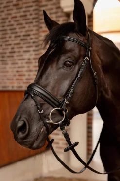 New Eternal Gaze Dressage Bridle Pony Bridles & Halters|Bridles & Nosebands