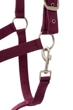 New Eternal Gaze Halter Set Headcollars & Halters