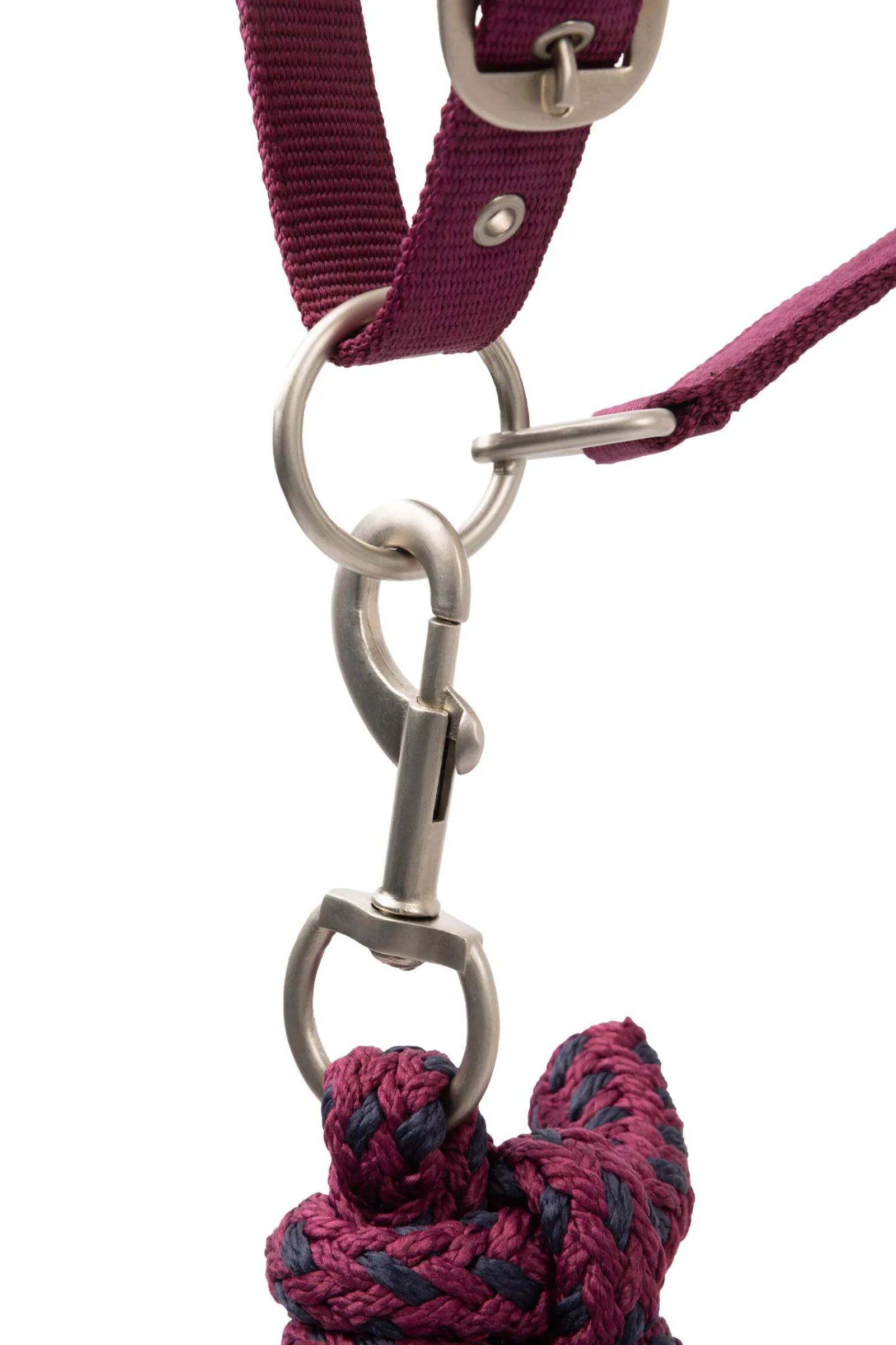 New Eternal Gaze Halter Set Headcollars & Halters