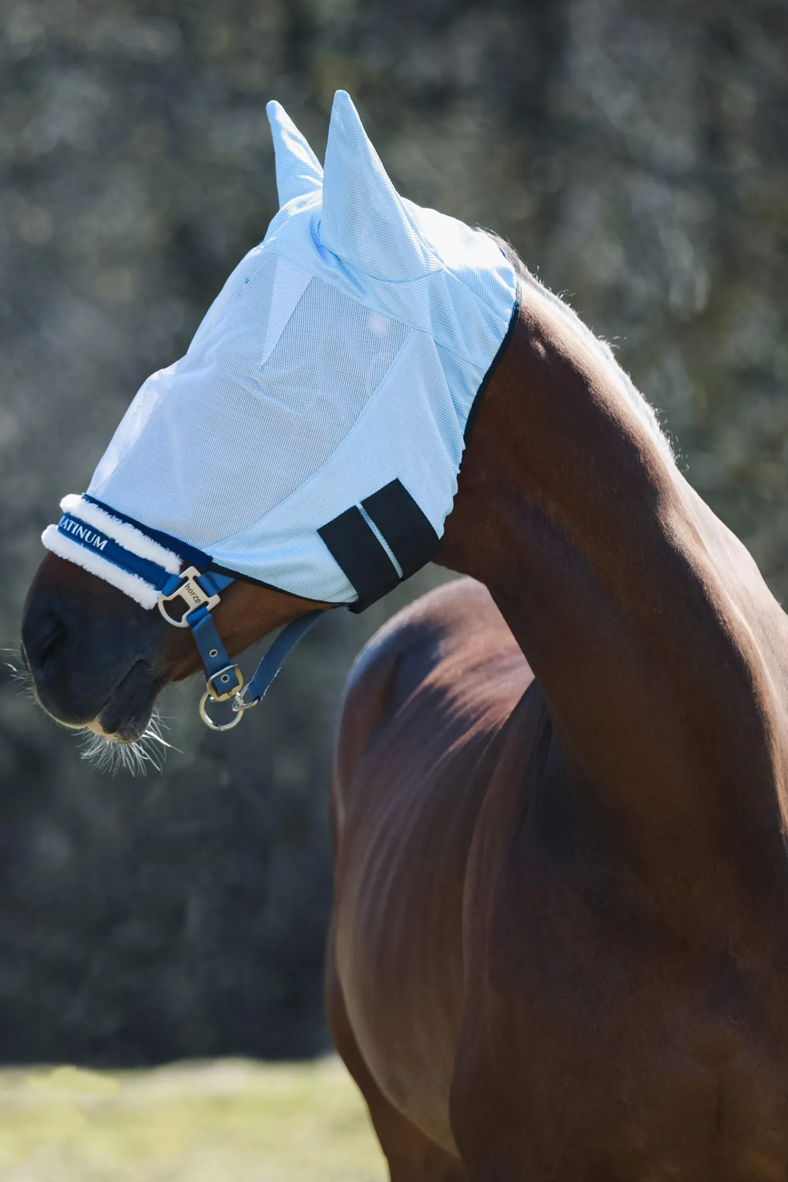 Discount Fly Mask with Ears Fly Masks & Fringes|Fly Masks & Fringes