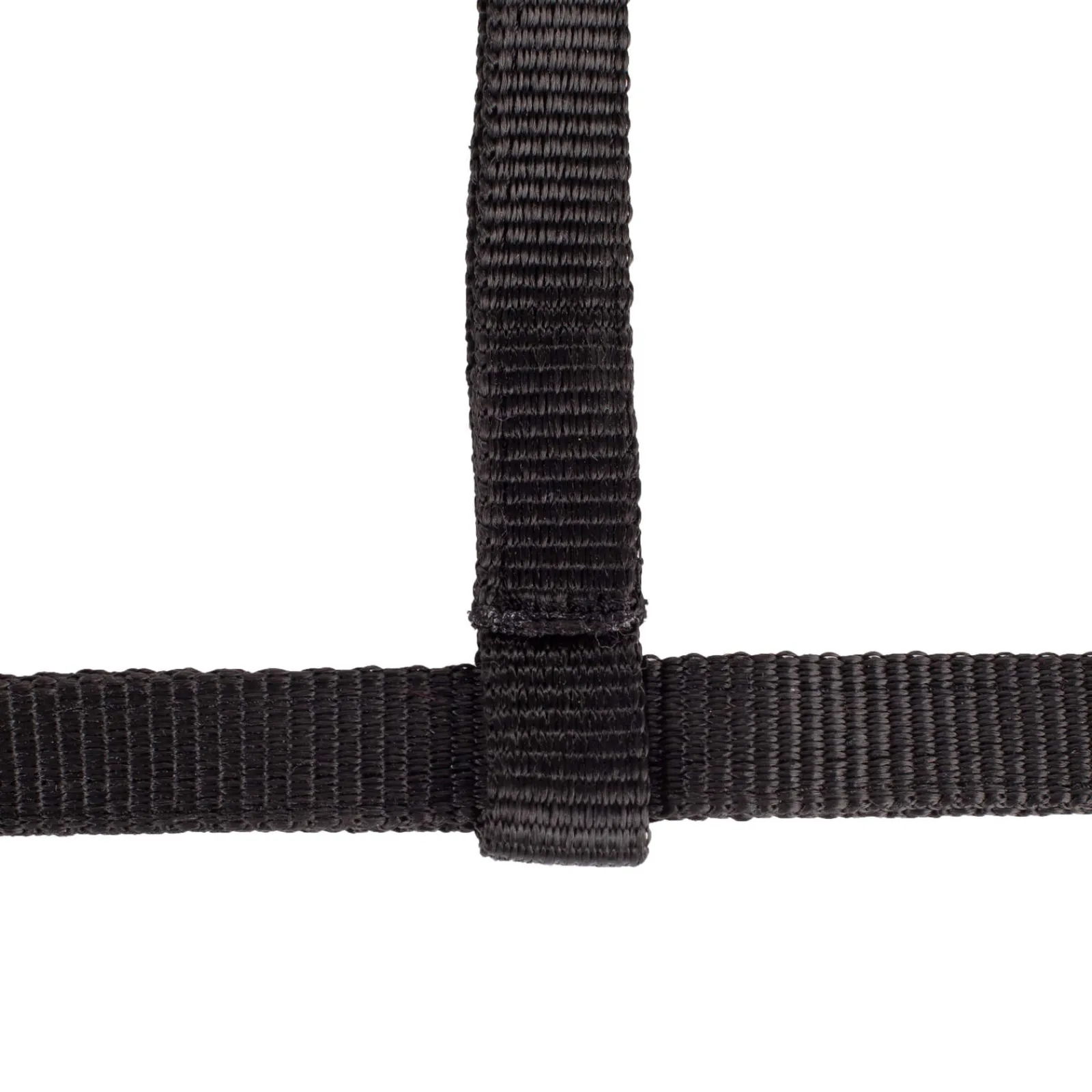 Discount Foal Halter Headcollars & Halters