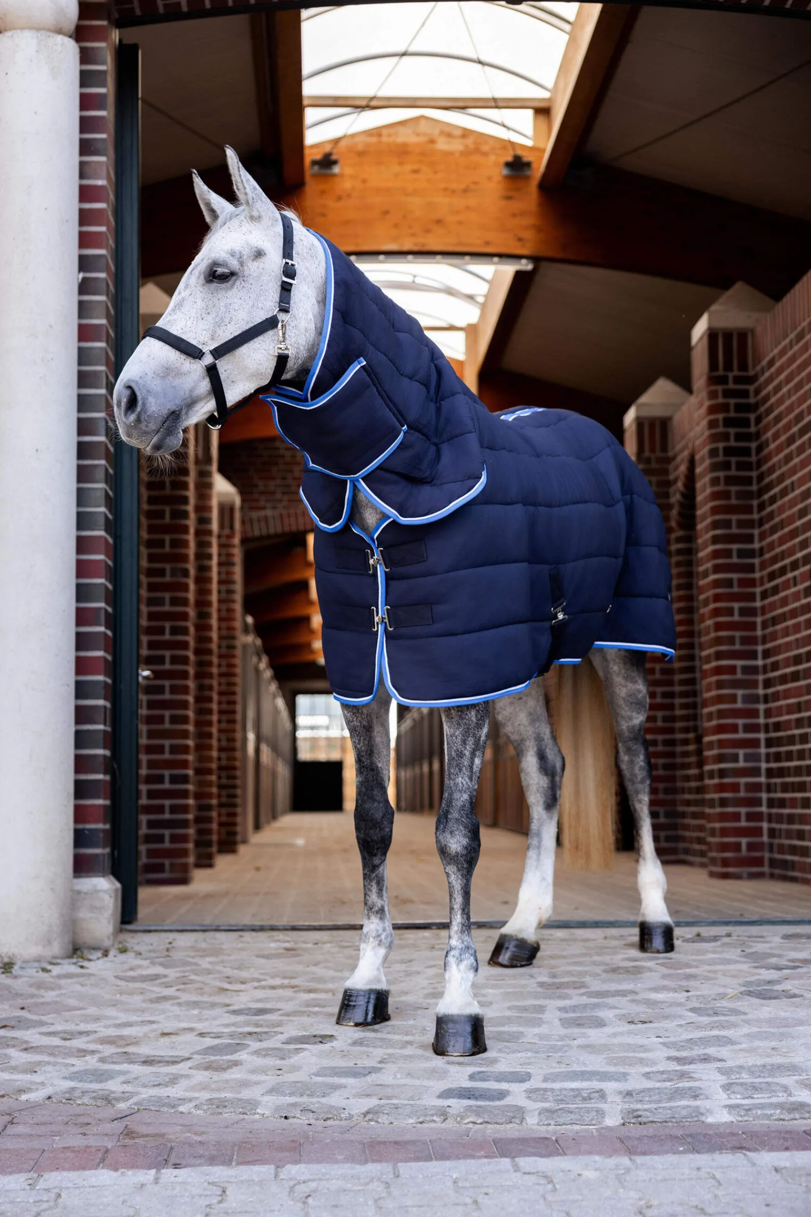 Sale Glasgow Stable Rug / Under Rug Full Neck, 250g Stable Rugs & Liners