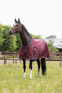 Hot Glasgow Turnout Rug with Fleece Lining and Reflective Accents, 0g Lightweight Turnout Rugs