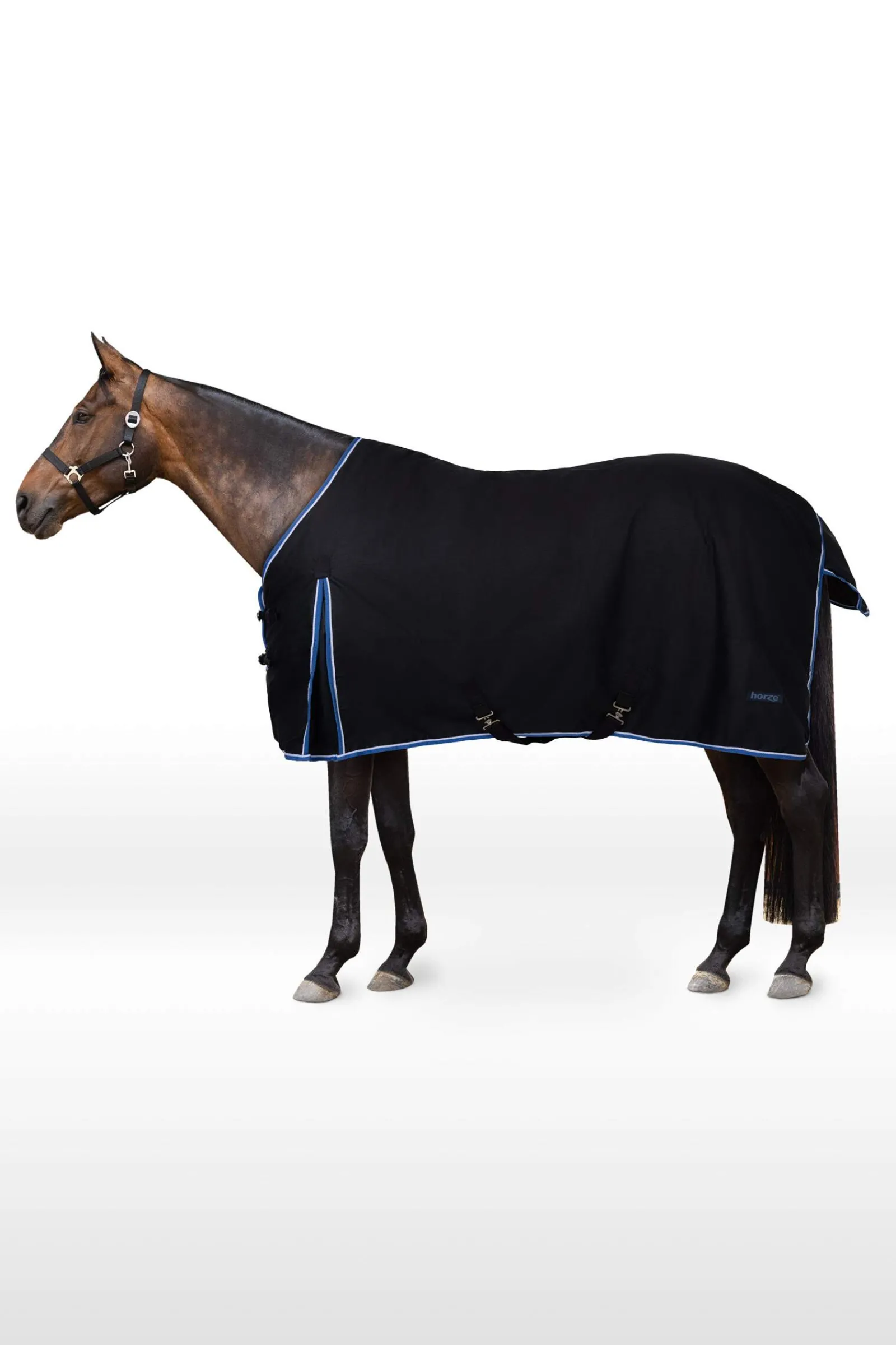 Clearance Glasgow Turnout Rug, 350g Medium & Heavyweight Turnout Rugs