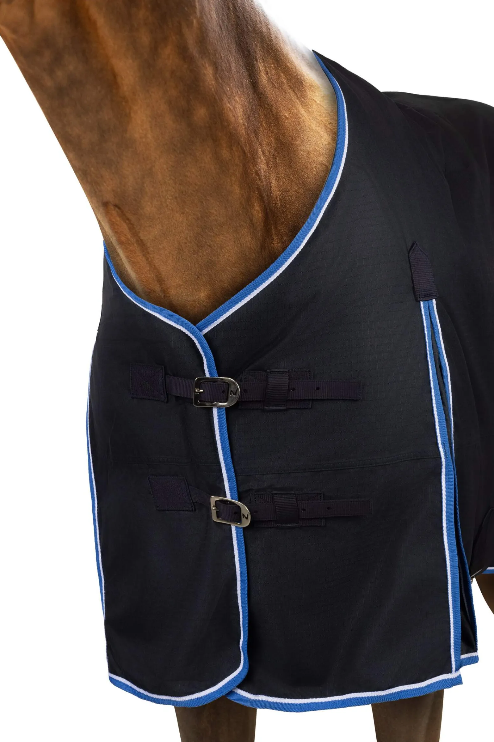 Clearance Glasgow Turnout Rug, 350g Medium & Heavyweight Turnout Rugs