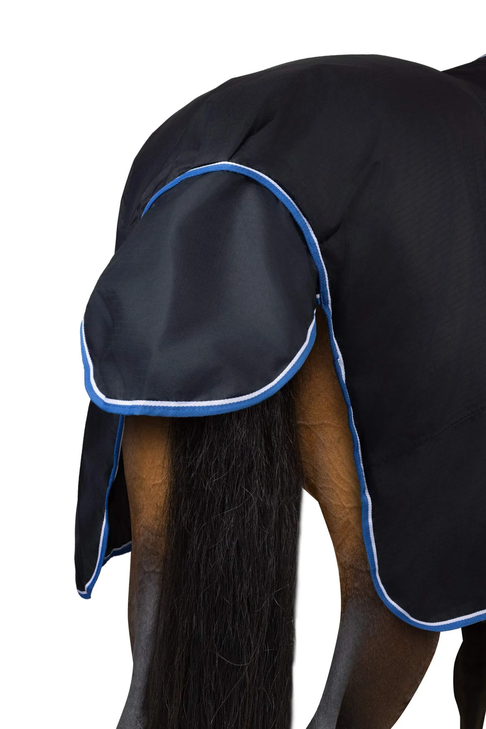 Clearance Glasgow Turnout Rug, 350g Medium & Heavyweight Turnout Rugs