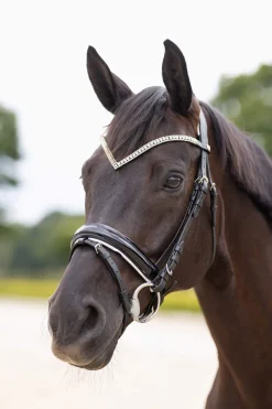 New Grayson Anatomic Snaffle Bridle Pony Bridles & Halters|Bridles & Nosebands