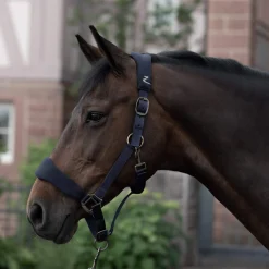Best Graz Halter Headcollars & Halters