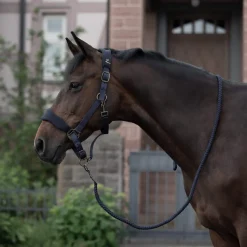 Best Graz Halter Headcollars & Halters