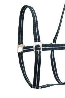 Fashion Halter (Set of 3 pcs) Headcollars & Halters