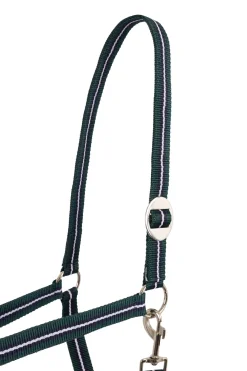 Fashion Halter (Set of 3 pcs) Headcollars & Halters
