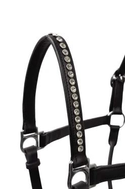 Fashion Halter with Crystals Leather Headcollars