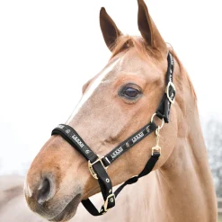 Outlet Hamptons Halter Headcollars & Halters