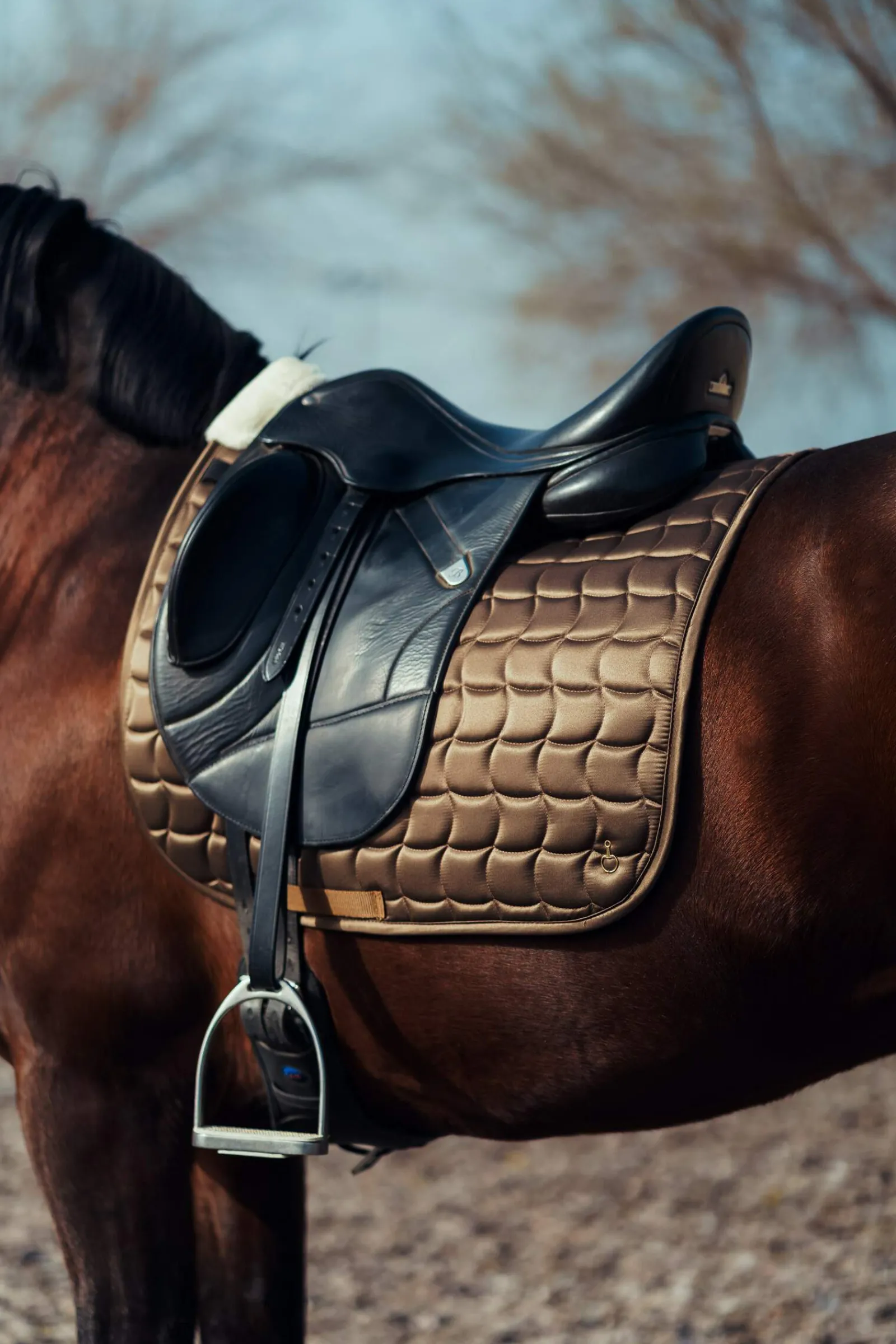Outlet Houston Dressage Saddle Pad Dressage Saddle Pads