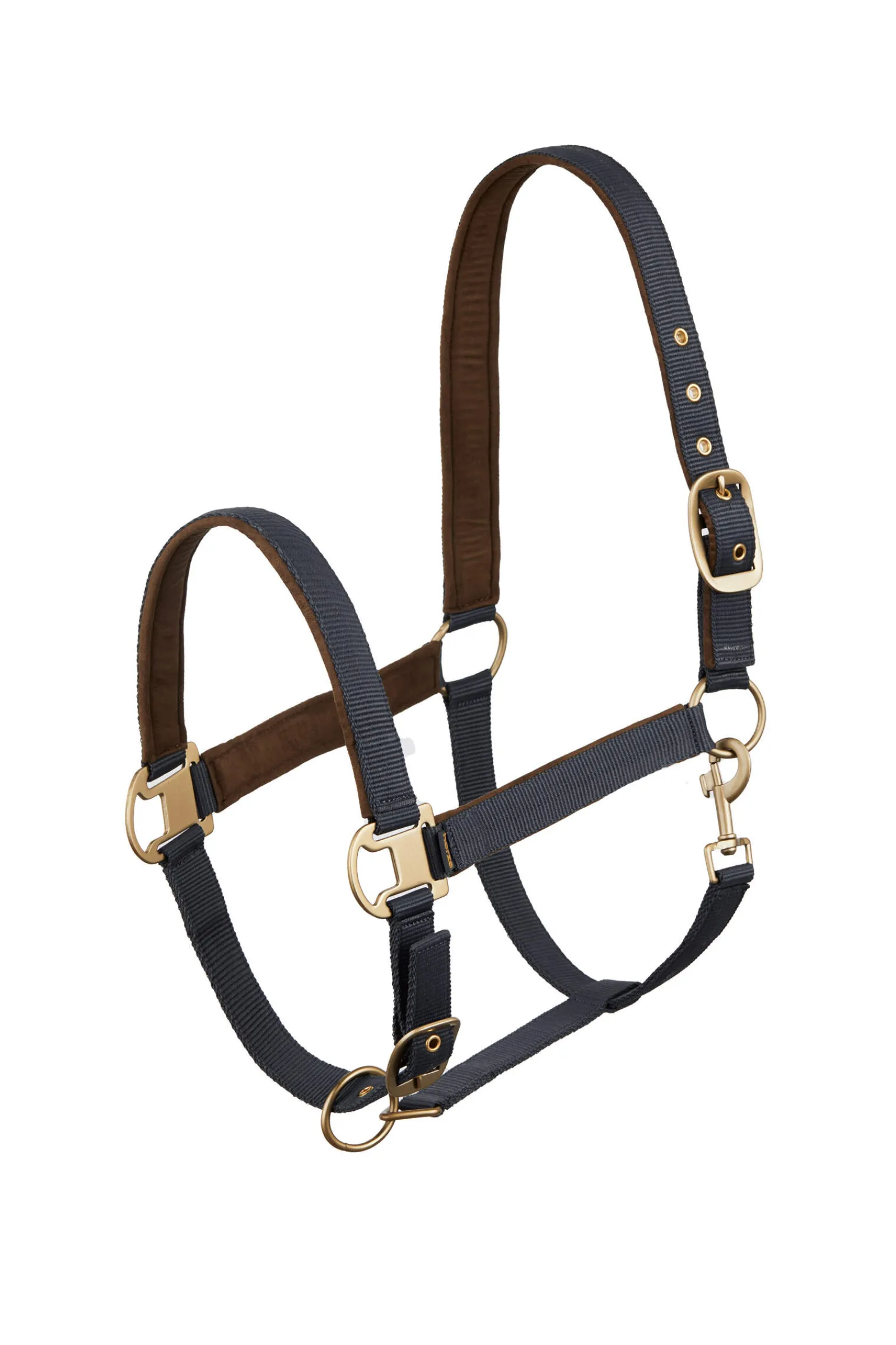 Sale Houston Halter Headcollars & Halters