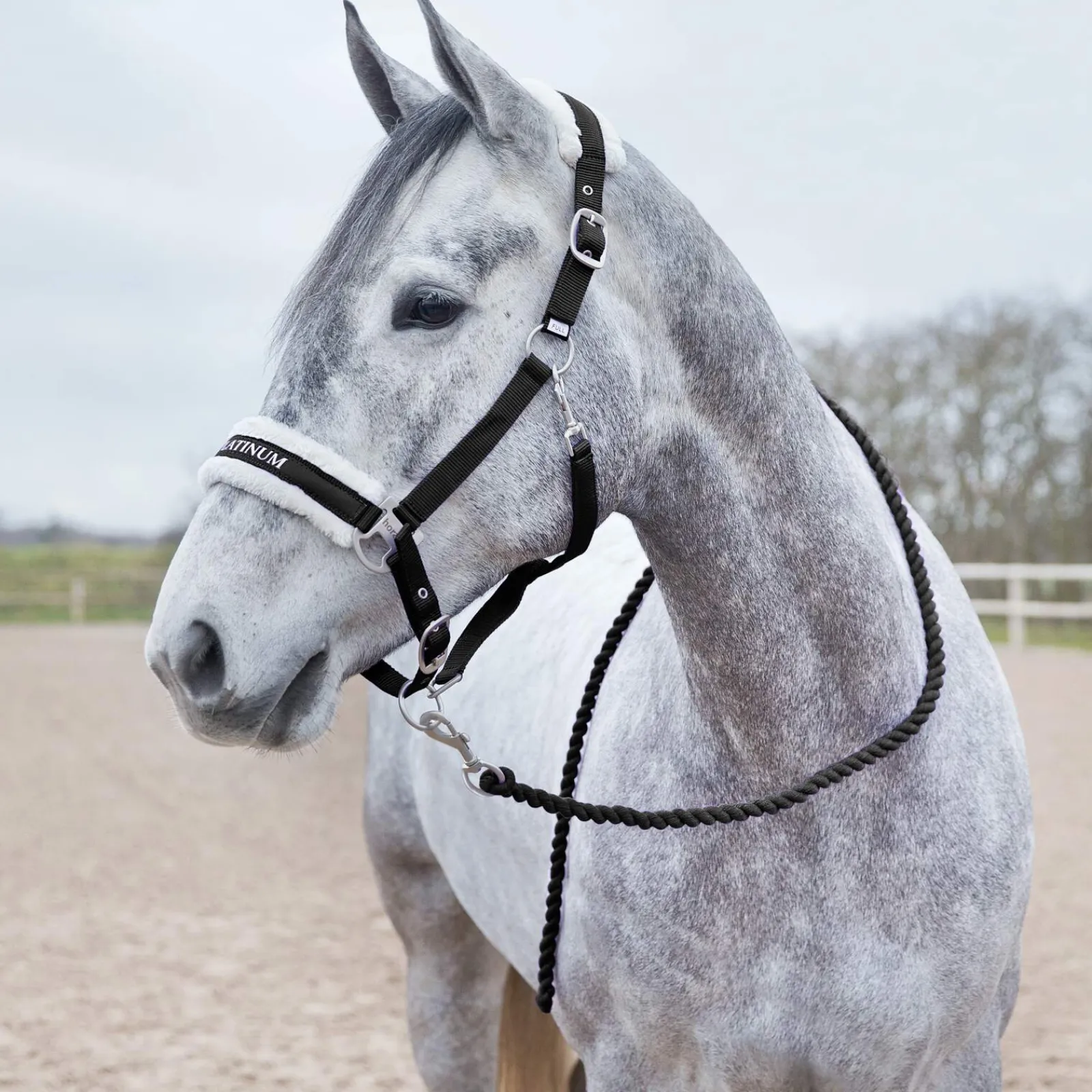 New Howard Soft Lead Lead Ropes