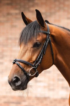 New Ice Water Bridle Bridles & Nosebands
