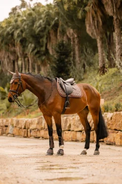 Outlet Kenya All Purpose Saddle Pad Pony Saddle Pads|All Purpose & Jumping Saddle Pads