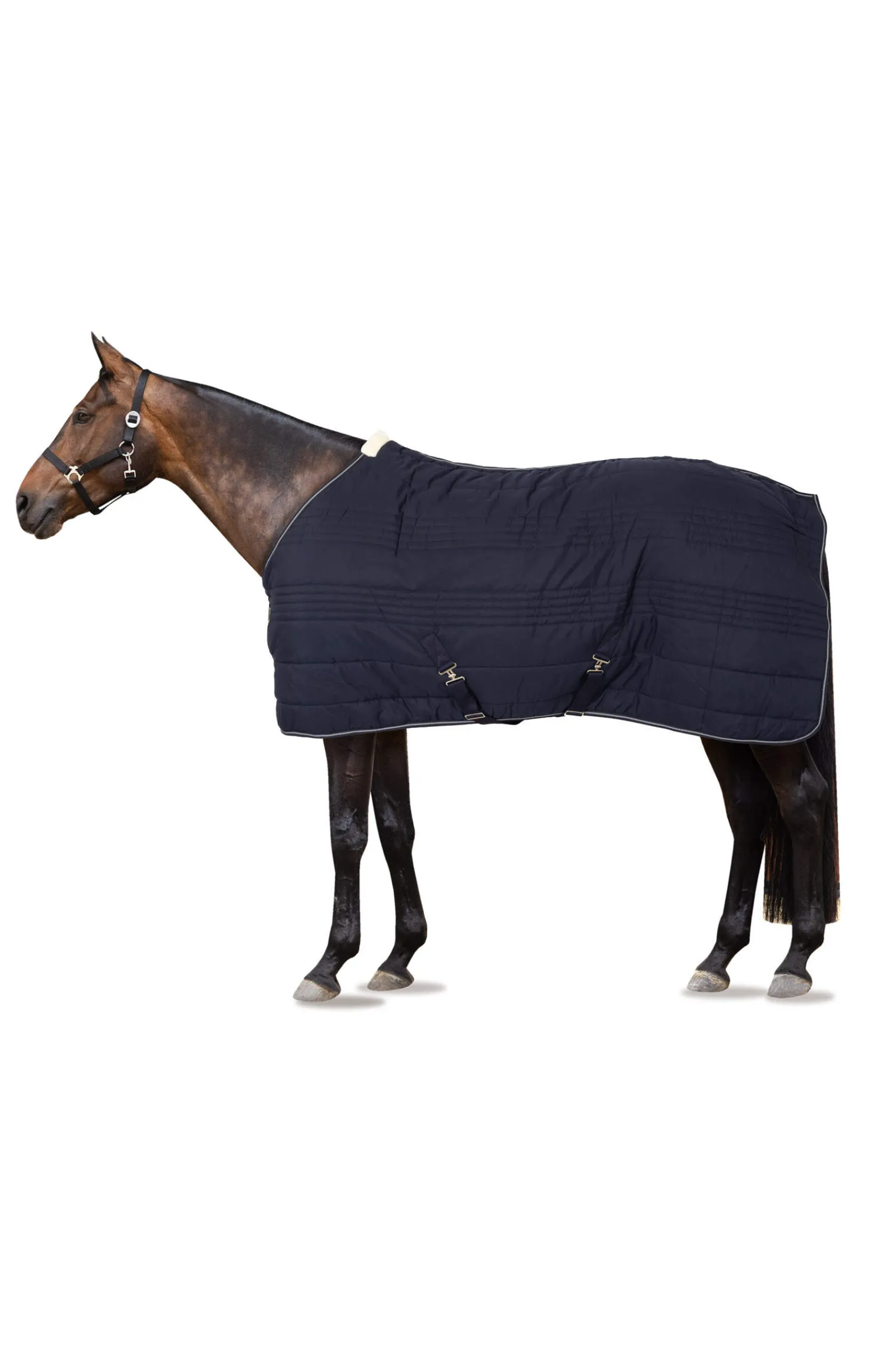Fashion Kingsley Stable Rug, 150g Stable Rugs & Liners