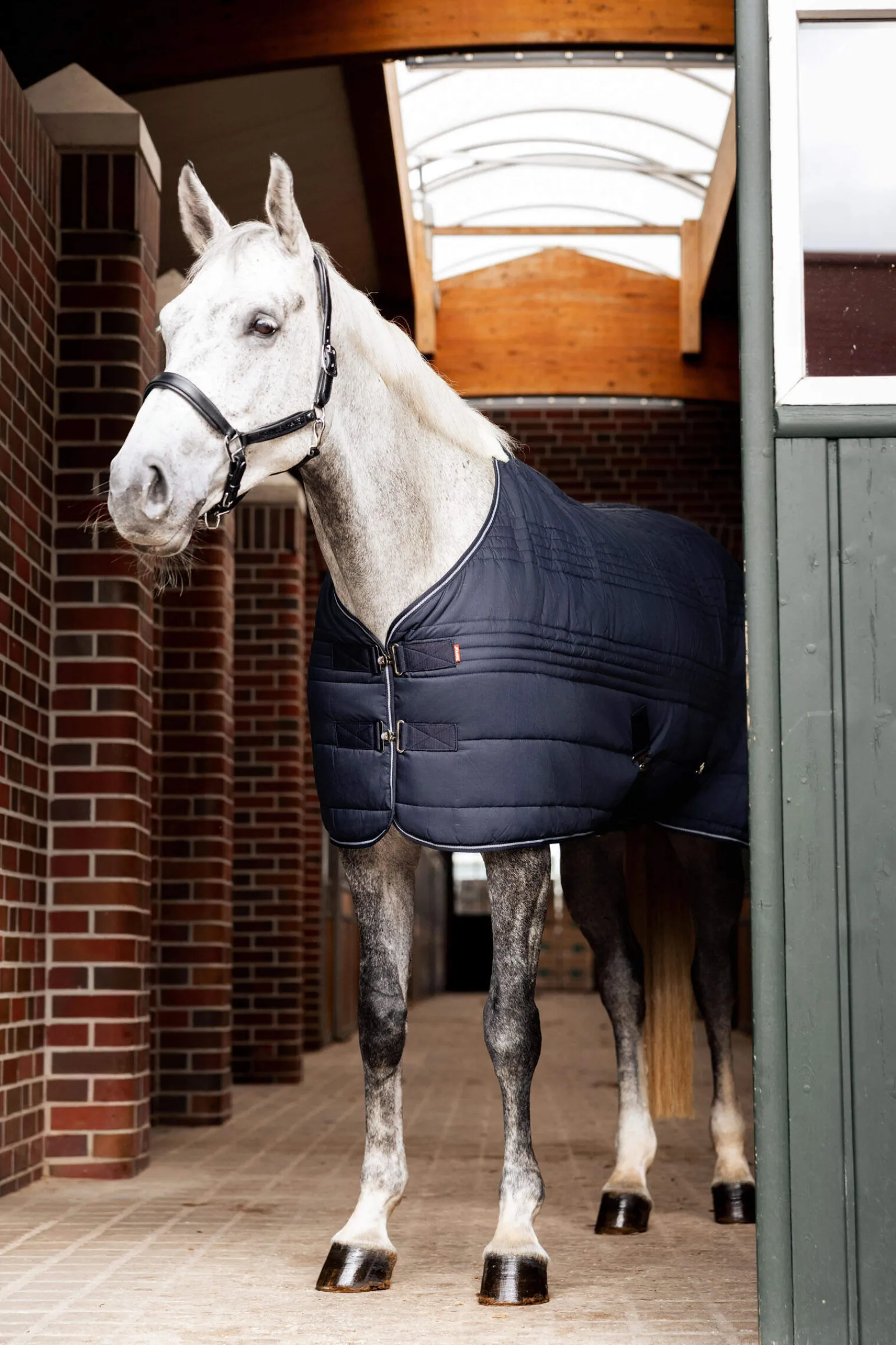 Fashion Kingsley Stable Rug, 150g Stable Rugs & Liners