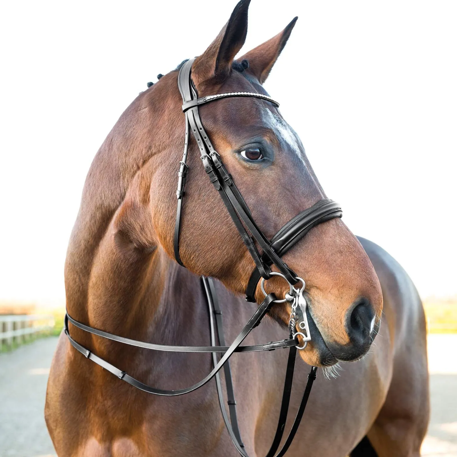 Sale Laelia Reins with stoppers Reins