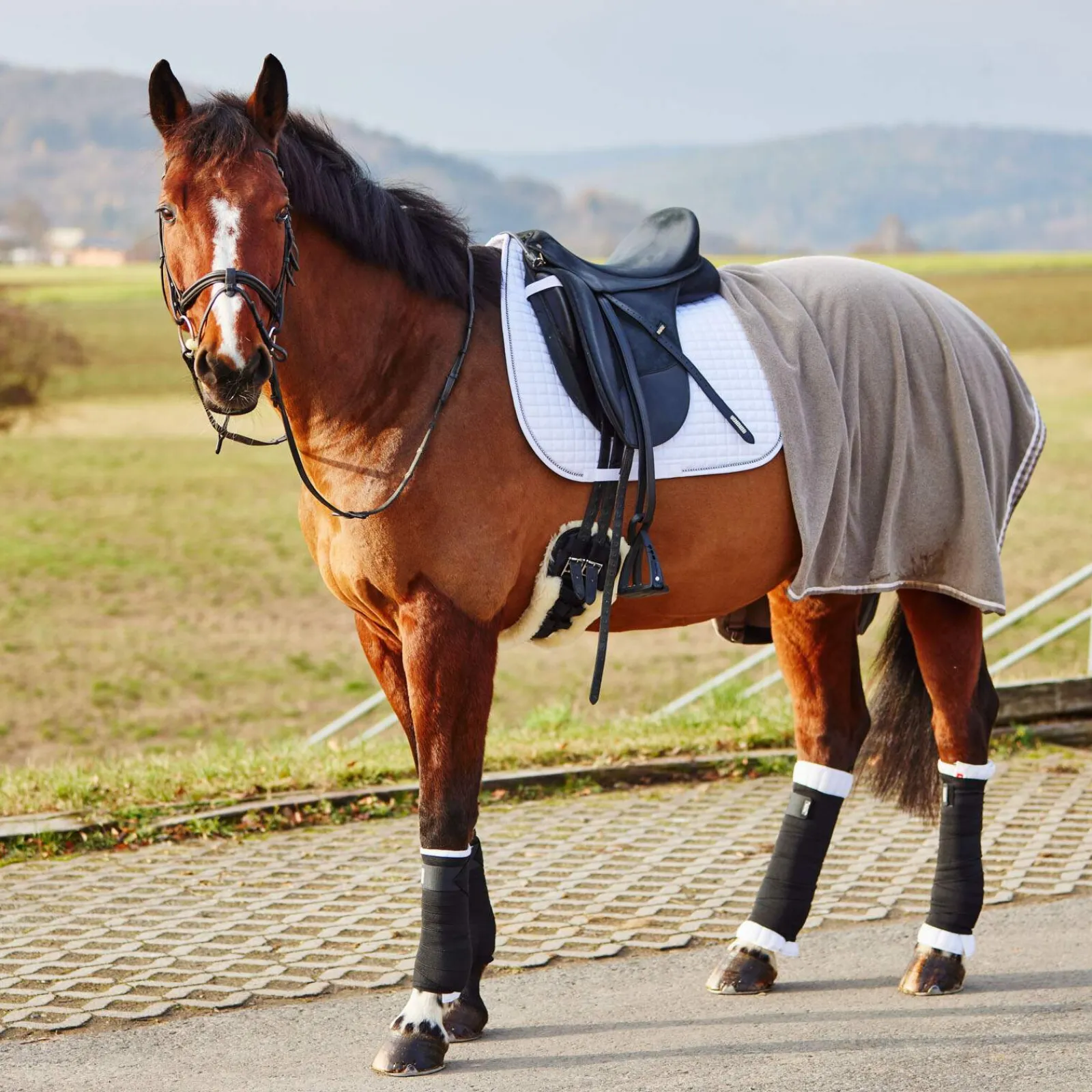 Outlet Leg Wraps, back Leg Wraps