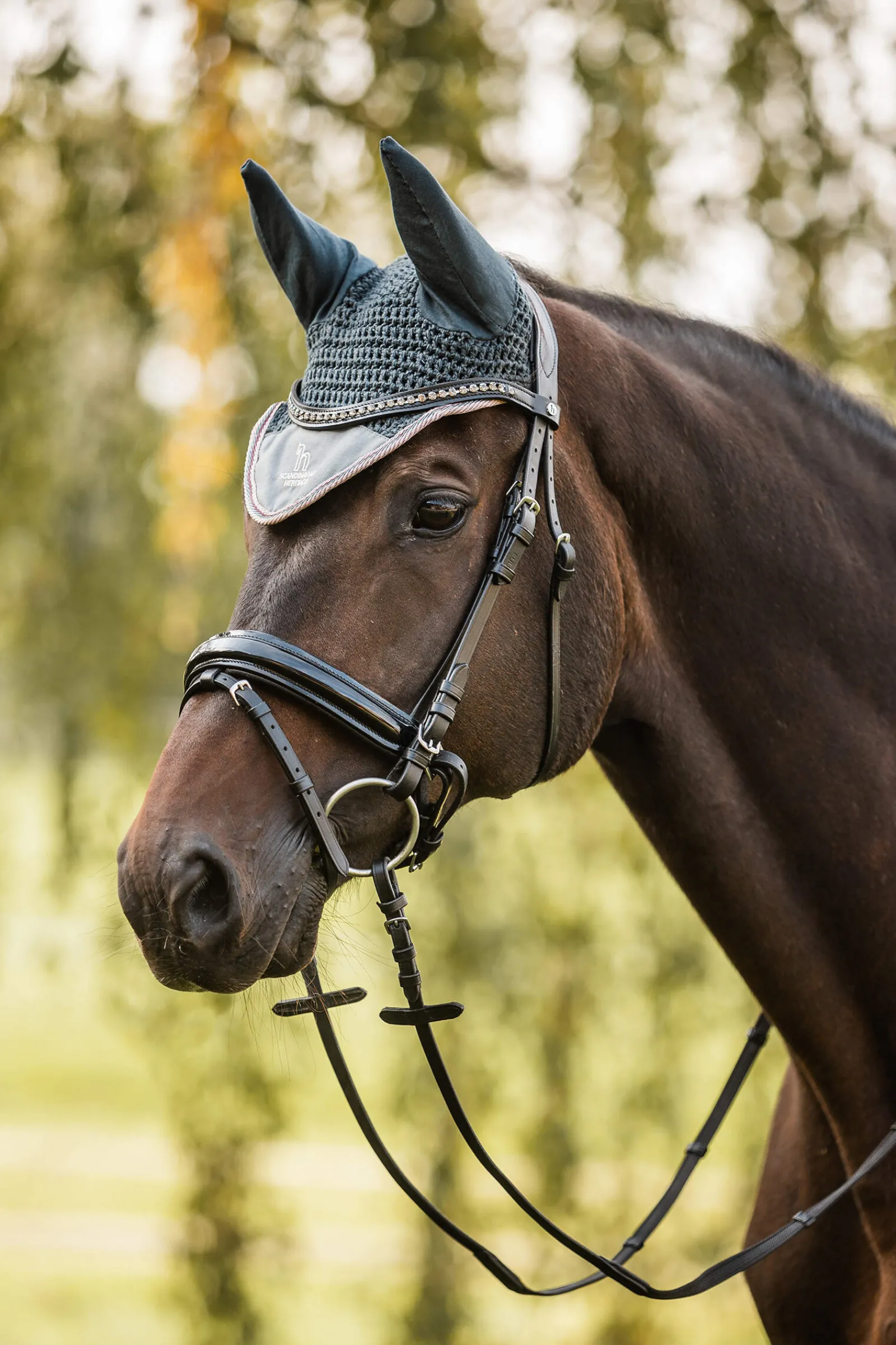 Outlet Leighton Teens Collection Ear Net Ear Bonnets & Fly Veils|Ear Bonnets & Fly Veils