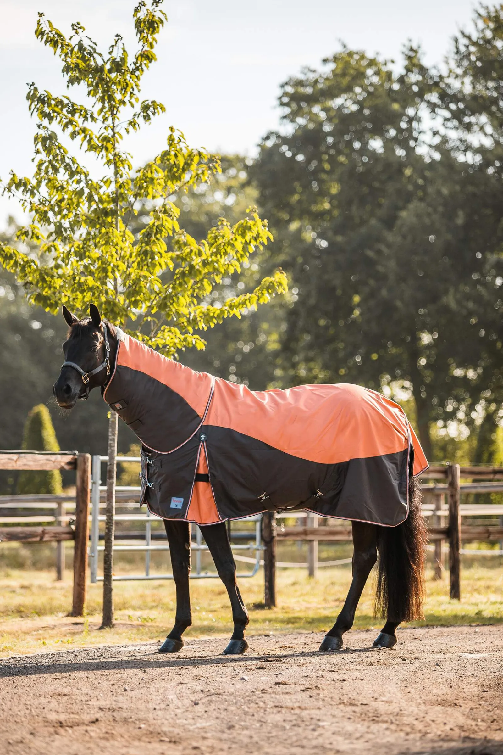 New Lucerne Neck Piece, 250g Horse Hoods