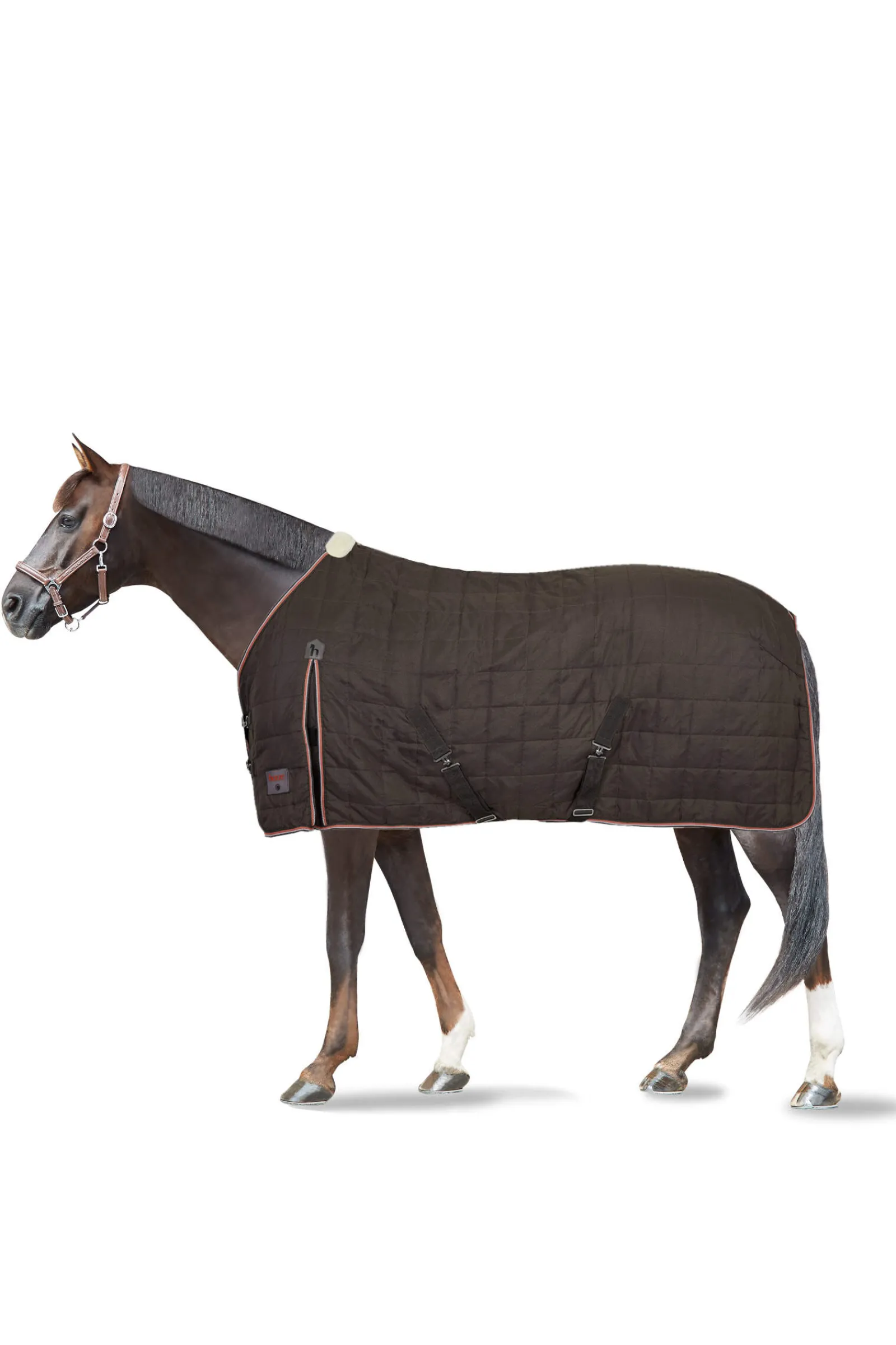 New Lucerne Stable Rug, 150g Stable Rugs & Liners