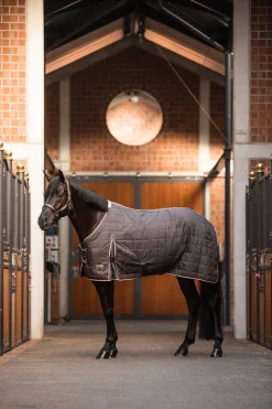 Online Lucerne Stable Rug, 250g Stable Rugs & Liners