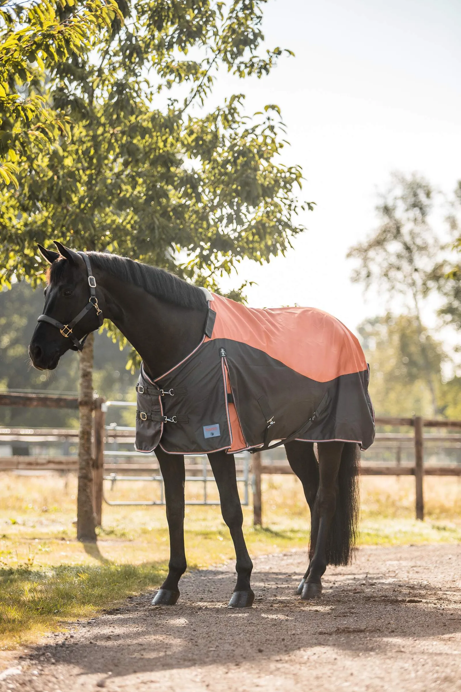 Outlet Lucerne Turnout Rug, 150g Lightweight Turnout Rugs