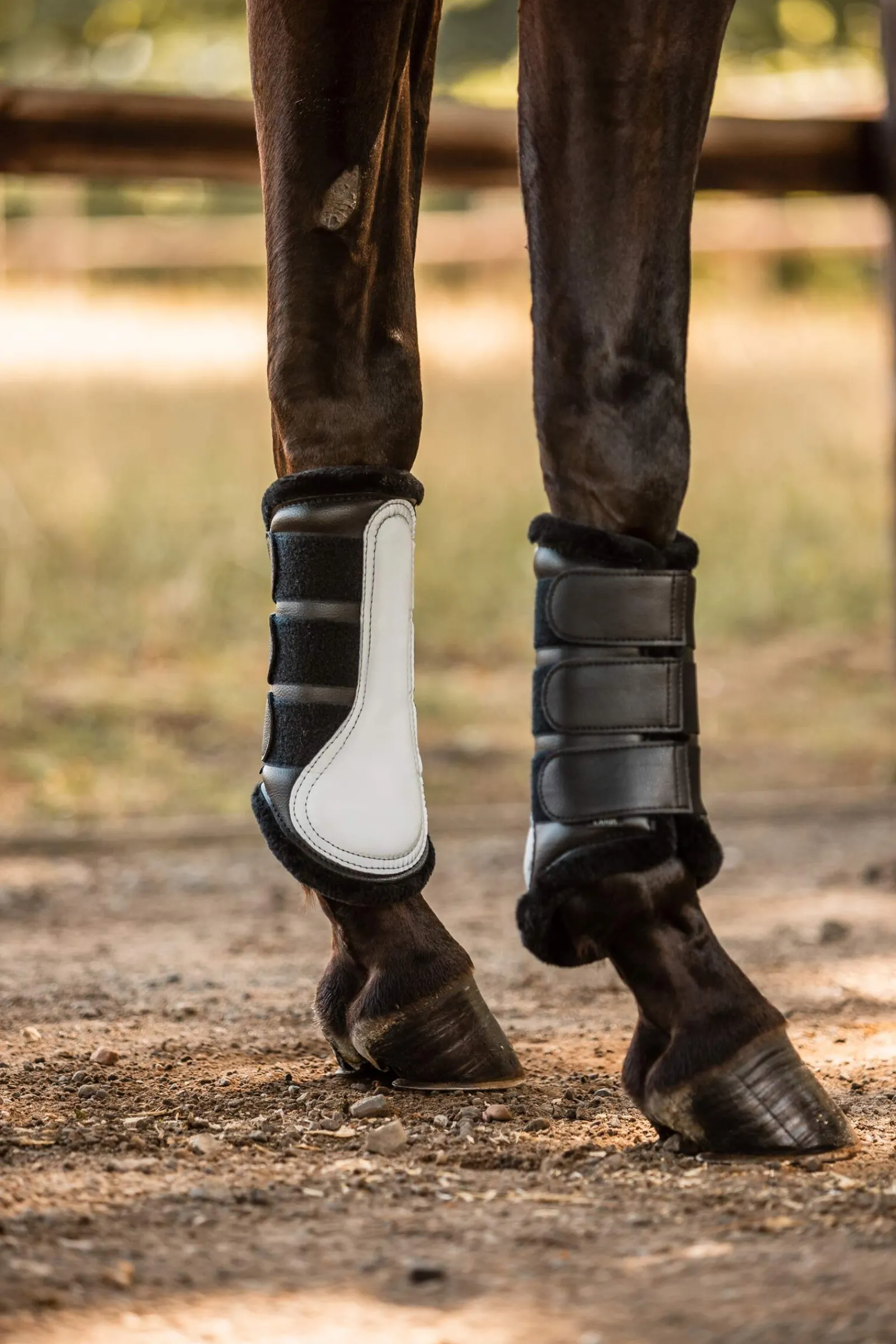 Discount Luminox Reflective Brushing Boots, Front Horse Boots
