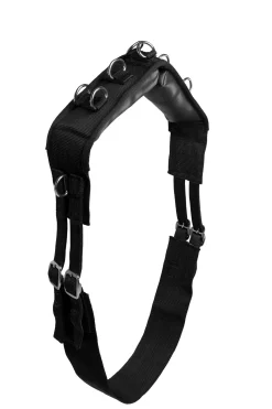 Online Lunging Girth, Nylon Lunge Lines & Lunging Ropes|Lunge Lines & Lunging Ropes