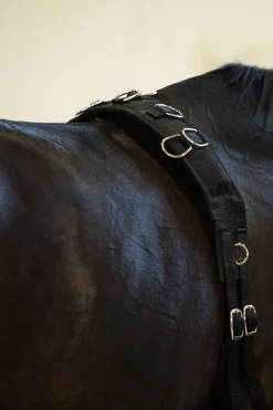 Online Lunging Girth, Nylon Lunge Lines & Lunging Ropes|Lunge Lines & Lunging Ropes