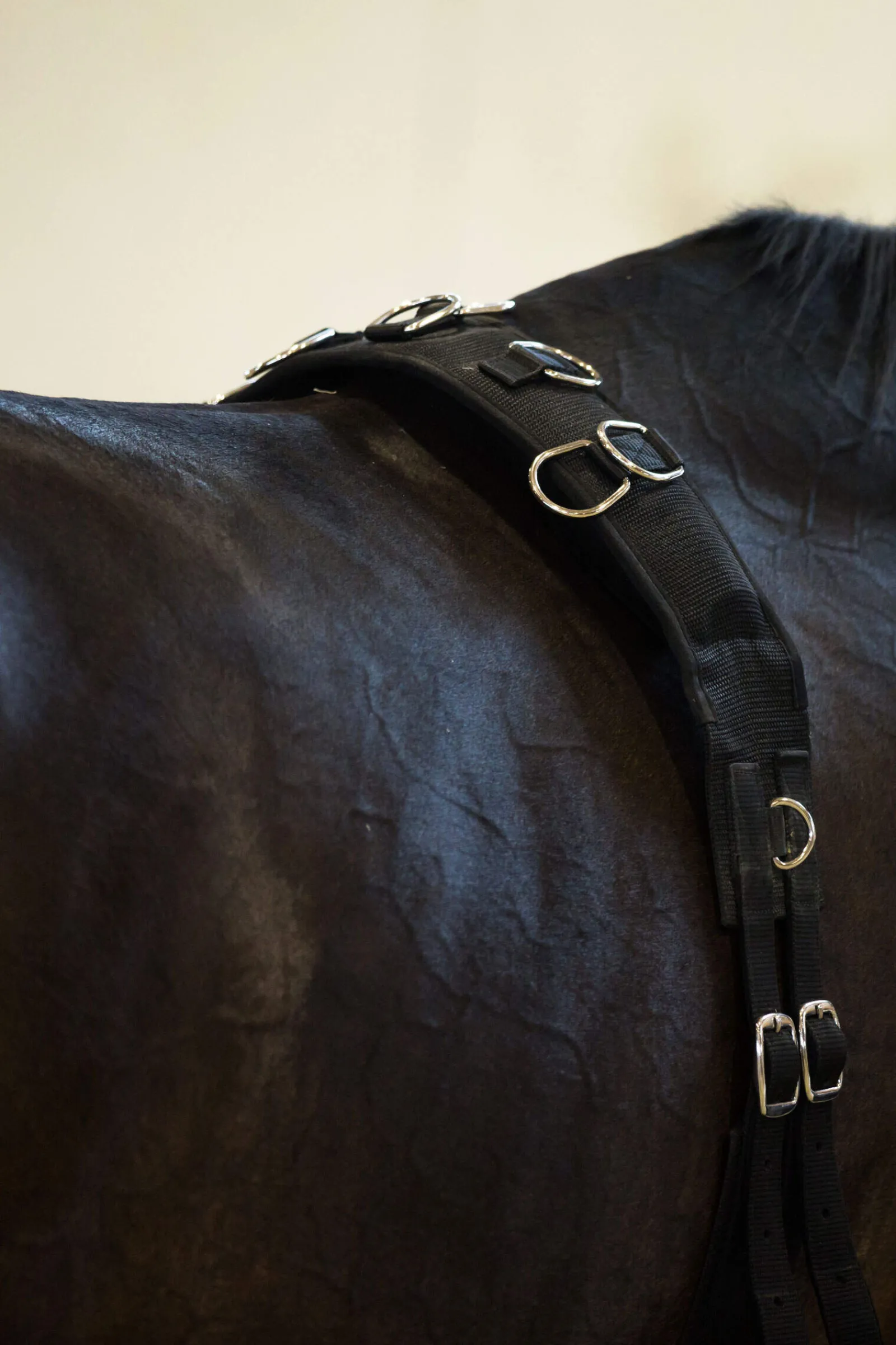 Online Lunging Girth, Nylon Lunge Lines & Lunging Ropes|Lunge Lines & Lunging Ropes