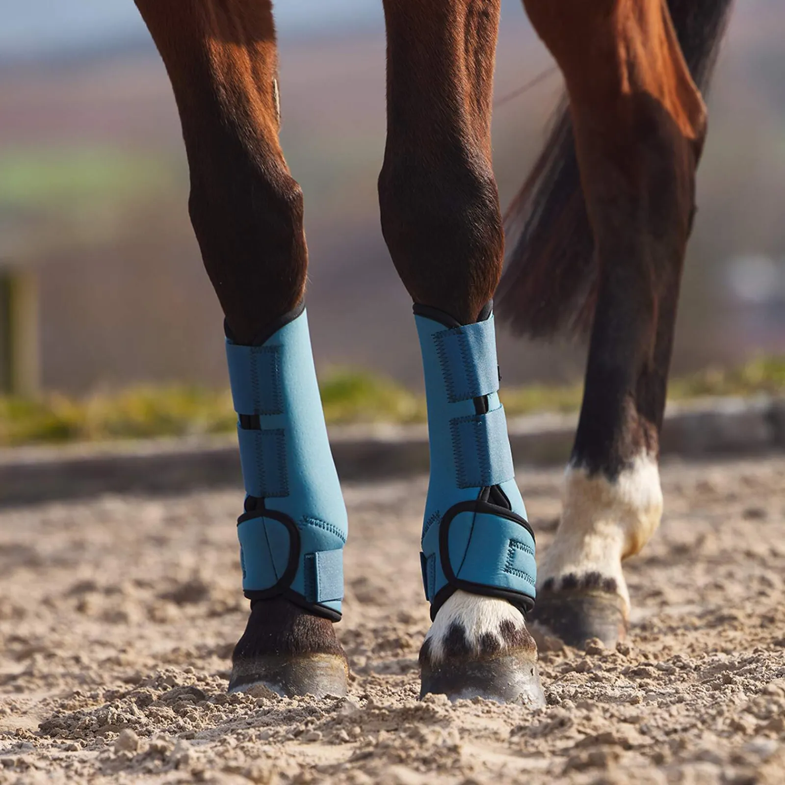 Discount Marquess Neoprene Brushing Boots Horse Boots