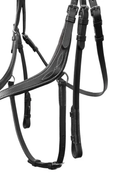 Outlet Monterrey Grackle Bridle Bridles & Nosebands