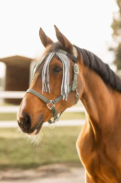 New Moreton Halter, Lead & Fly Veil Set Headcollars & Halters