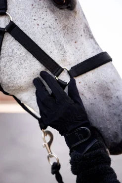 Hot Multi-Stretch Riding Gloves All Season Gloves