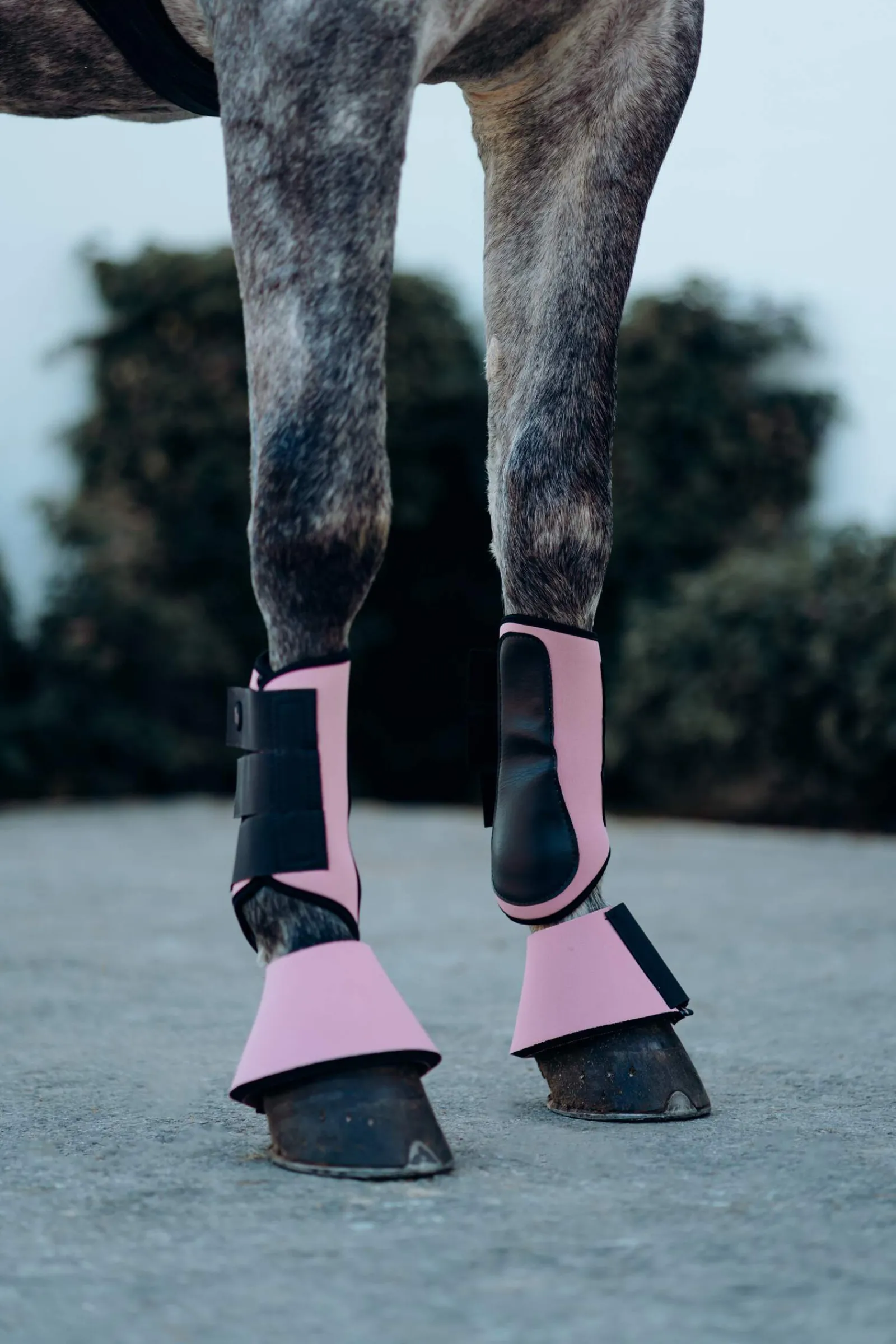 Hot Munich Brushing Boots Horse Boots