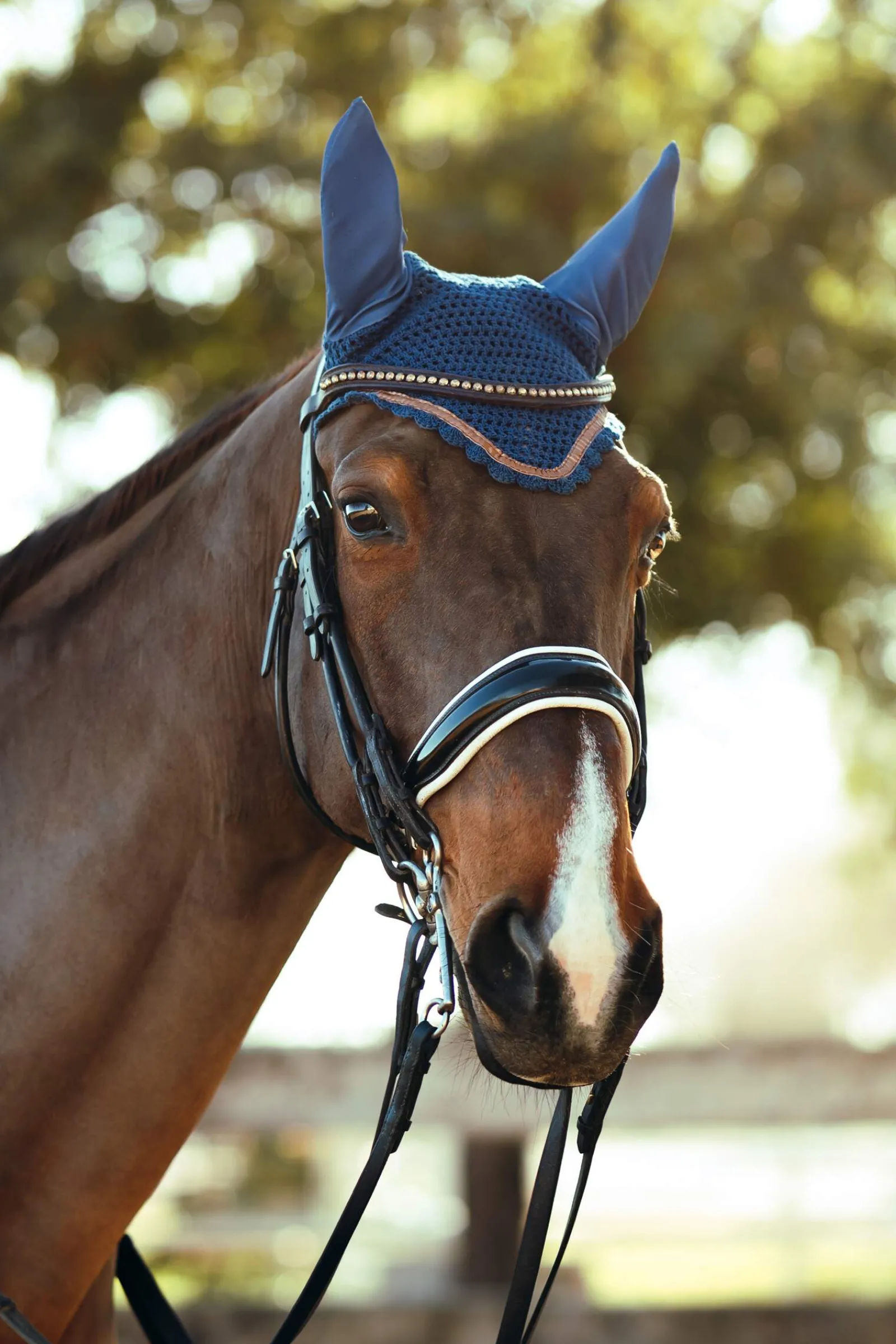 New Munich Ear Net with Metallic Detail Ear Bonnets & Fly Veils|Ear Bonnets & Fly Veils