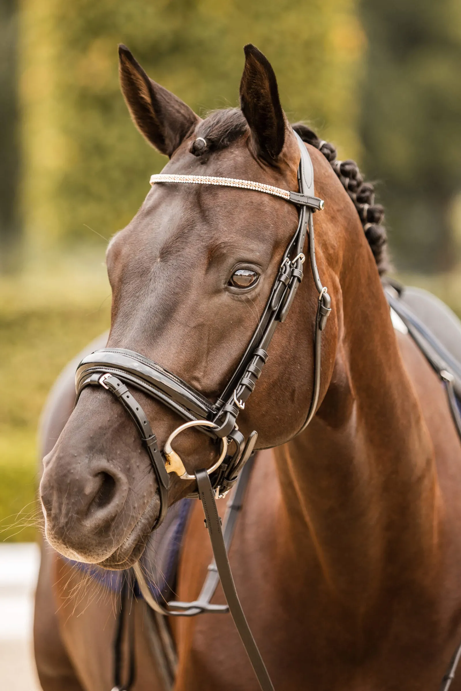 Online Nancy Crystal and Wire Brow Band Browbands