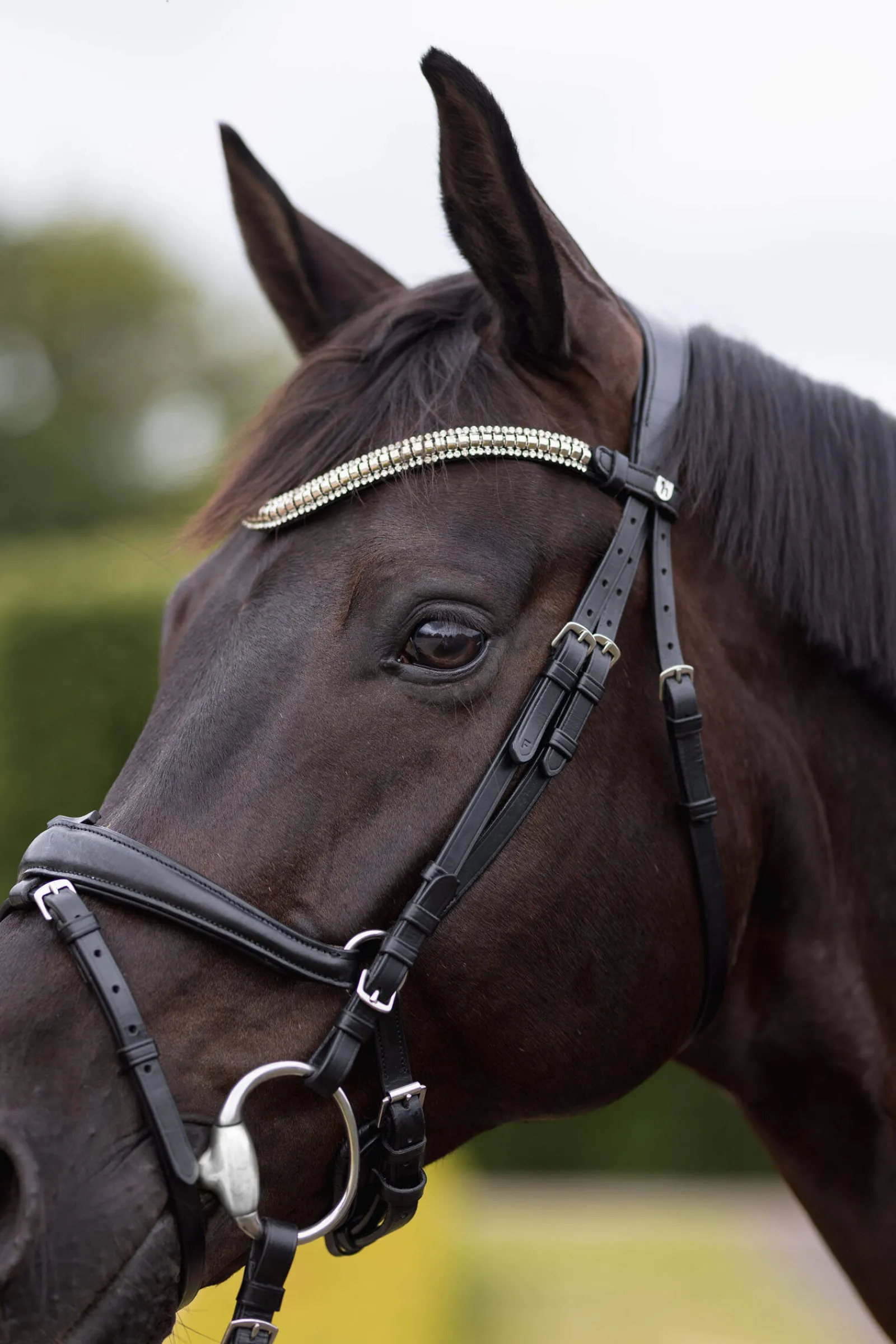 Hot Nature Made Leisure Browband Browbands