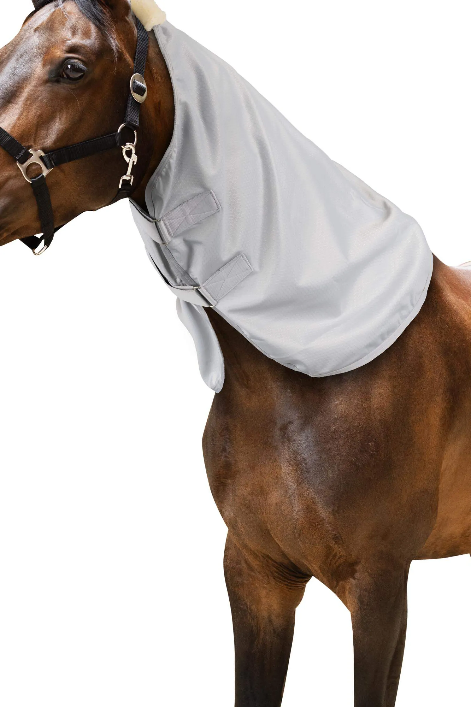 Clearance Nevada 600D Turnout Neckpiece Horse Hoods