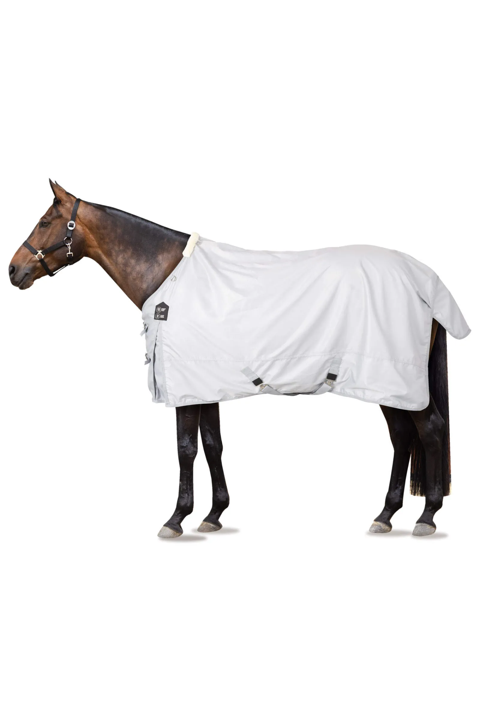 Discount Nevada 600D Turnout Rug, 0g Lightweight Turnout Rugs
