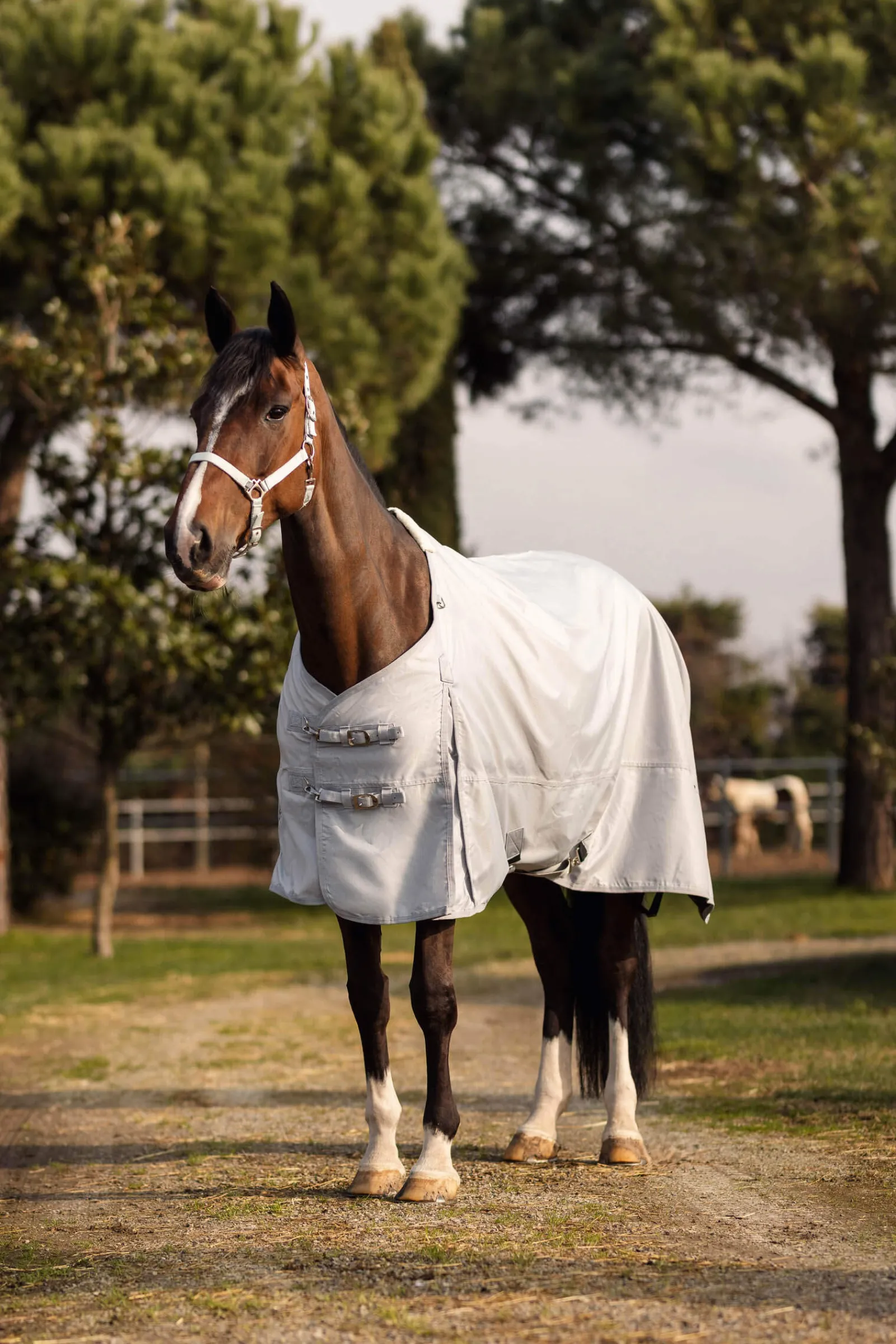 Discount Nevada 600D Turnout Rug, 0g Lightweight Turnout Rugs