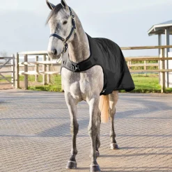 Online Nevada Walker Rug, 200g Walker Rugs